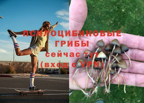 герыч Вязники